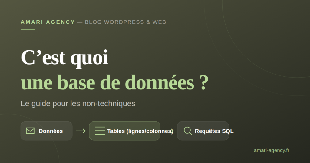 C'est quoi une base de données ? Le guide pour les non-techniques - Amari Agency