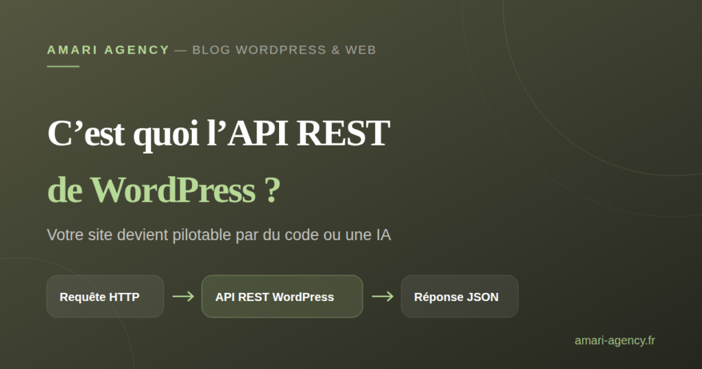Illustration : c'est quoi l'API REST de WordPress