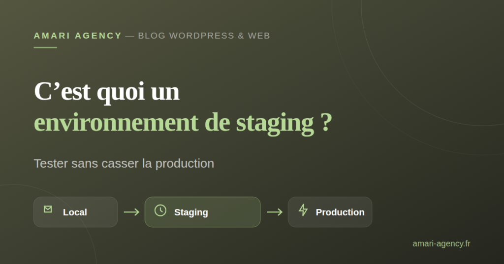 Schéma illustrant le cycle local, staging, production d'un site web