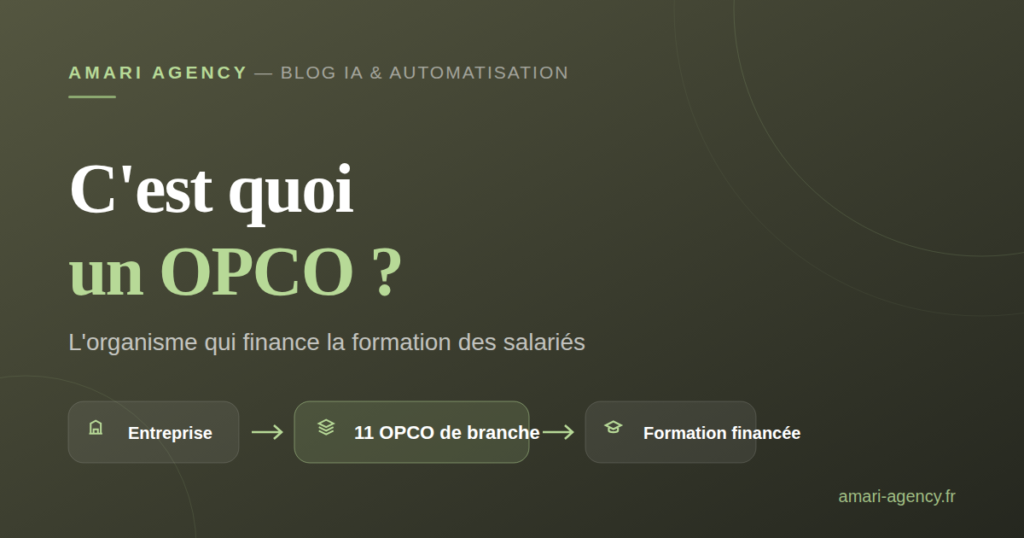 Illustration : les OPCO, organismes qui financent la formation